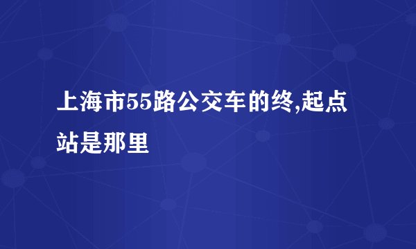 上海市55路公交车的终,起点站是那里