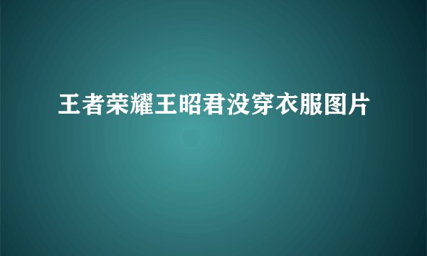 王者荣耀王昭君没穿衣服图片