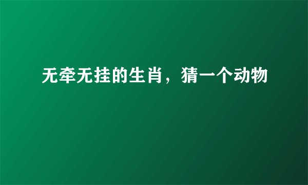 无牵无挂的生肖，猜一个动物