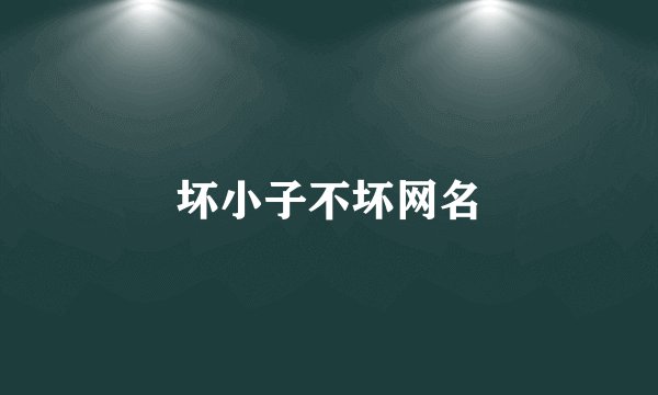 坏小子不坏网名