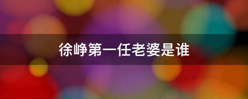 徐峥第一任老婆是谁
