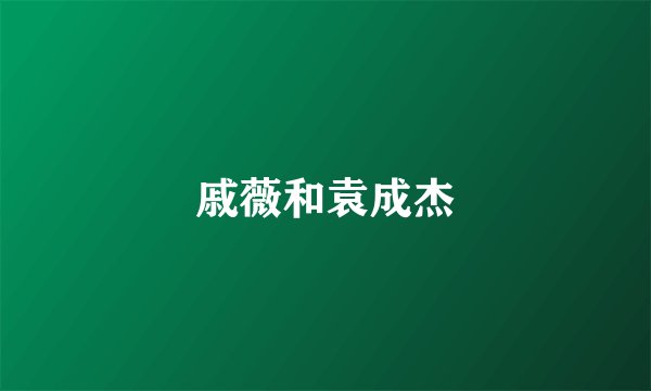 戚薇和袁成杰