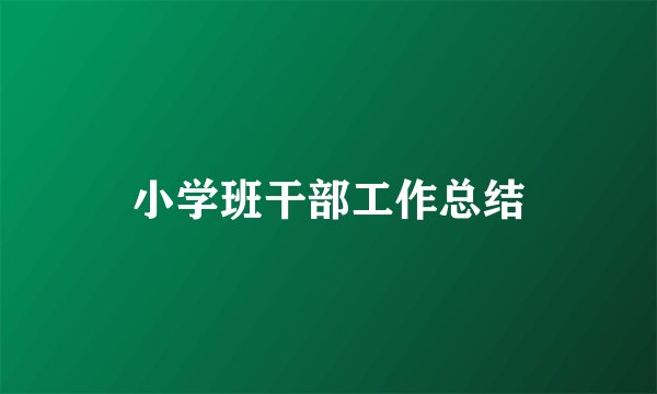 小学班干部工作总结