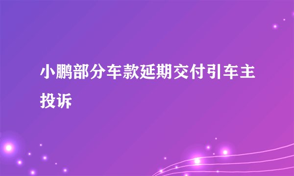 小鹏部分车款延期交付引车主投诉