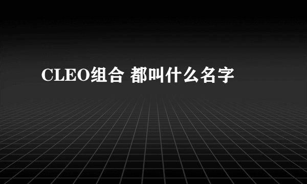 CLEO组合 都叫什么名字