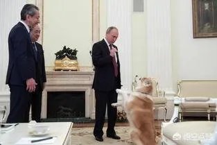 日本发表混乱外交蓝皮书