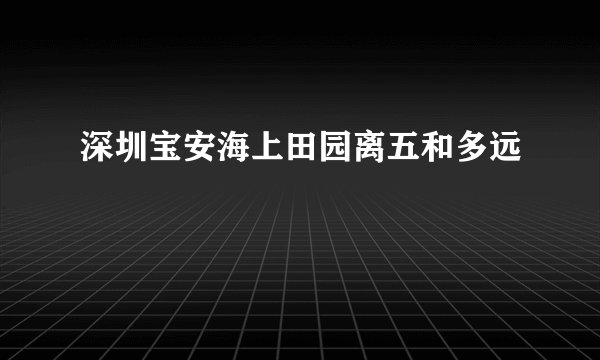 深圳宝安海上田园离五和多远