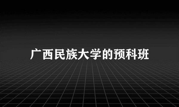 广西民族大学的预科班