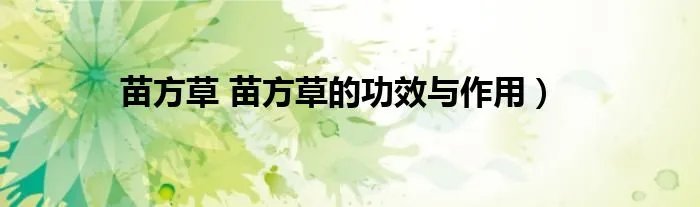 苗方草 苗方草的功效与作用）