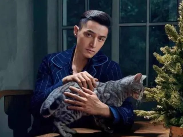 你知道哪些明星,在家养有什么样的宠物呢?