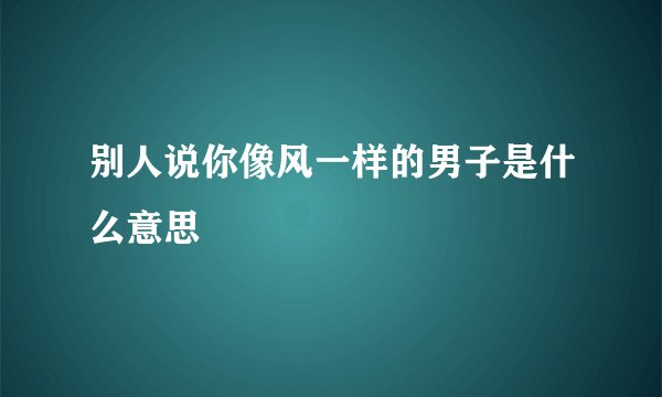 别人说你像风一样的男子是什么意思