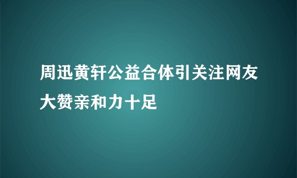 周迅黄轩公益合体引关注网友大赞亲和力十足