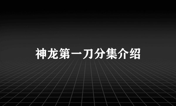 神龙第一刀分集介绍
