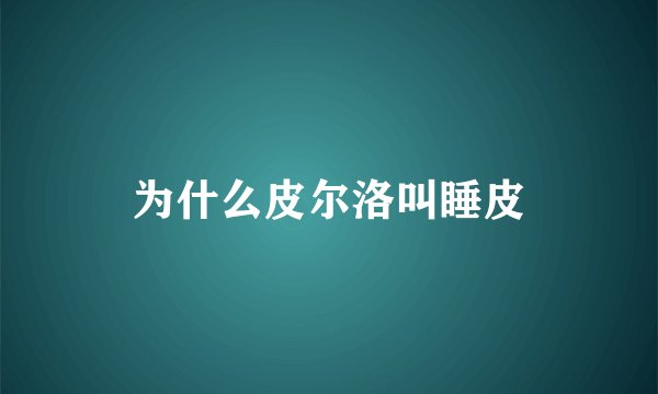 为什么皮尔洛叫睡皮