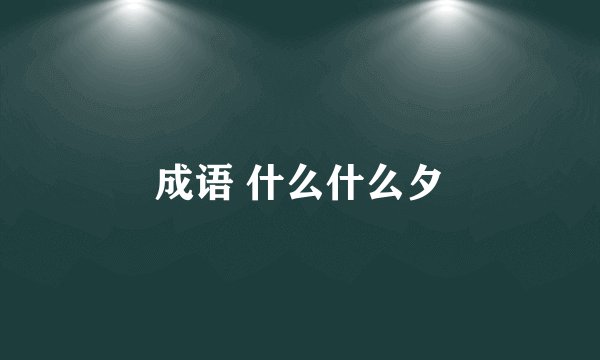 成语 什么什么夕
