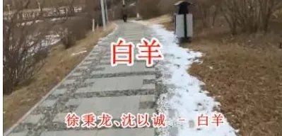 《白羊》得歌词是什么意思？？？