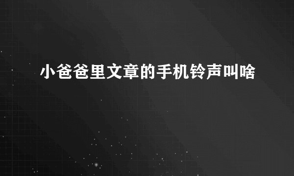 小爸爸里文章的手机铃声叫啥