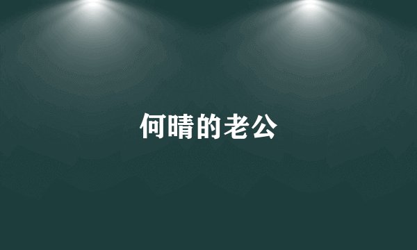 何晴的老公