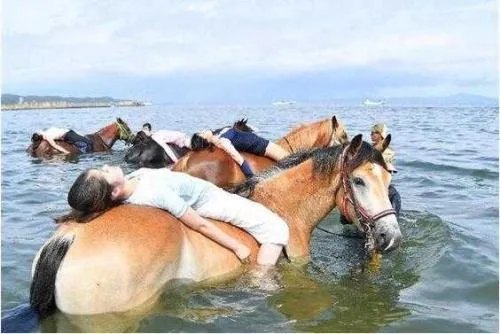 三男子骑马冲入海中救下男孩,为啥英雄们是骑着马去救人?
