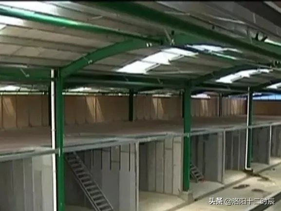 洛阳商铺是否值得投资?