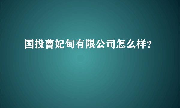 国投曹妃甸有限公司怎么样？