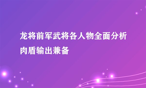 龙将前军武将各人物全面分析肉盾输出兼备