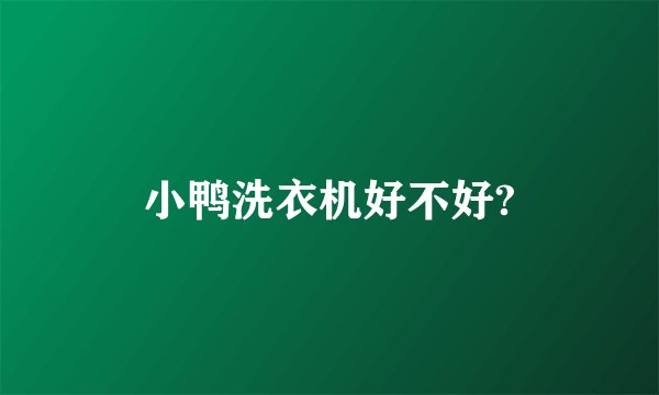 小鸭洗衣机好不好?