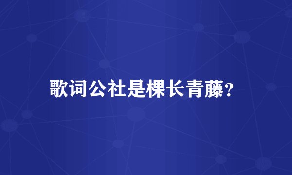 歌词公社是棵长青藤？