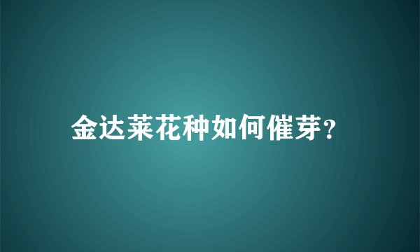 金达莱花种如何催芽？