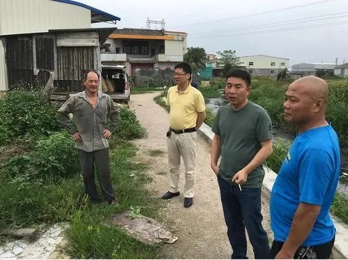 鱼跳上岸是什么征兆