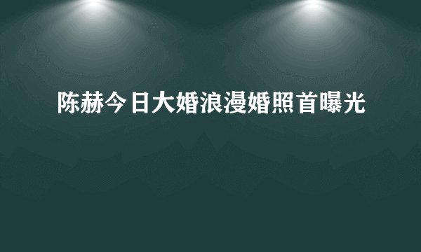 陈赫今日大婚浪漫婚照首曝光