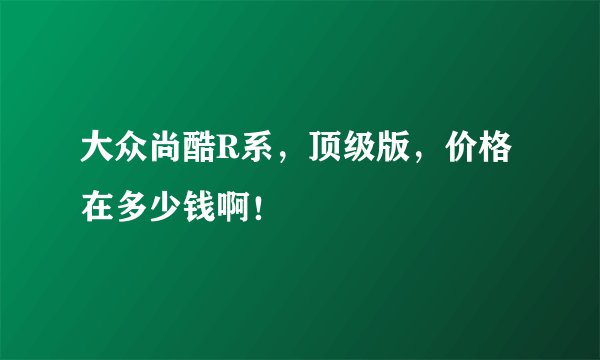 大众尚酷R系，顶级版，价格在多少钱啊！