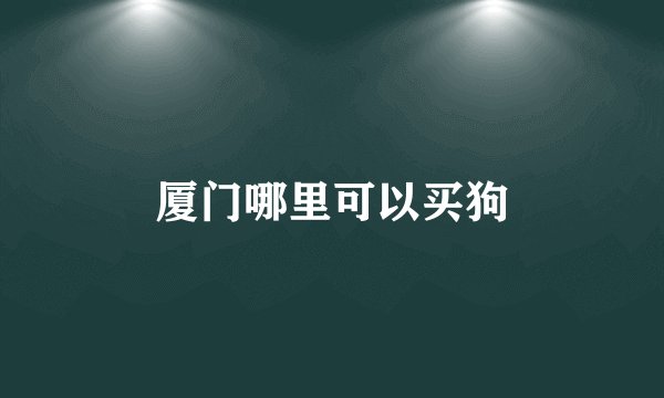厦门哪里可以买狗