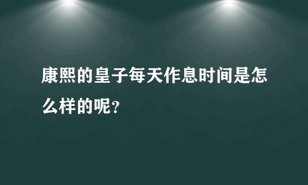 康熙的皇子每天作息时间是怎么样的呢？