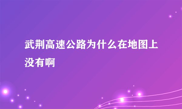 武荆高速公路为什么在地图上没有啊