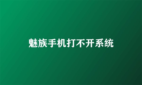 魅族手机打不开系统