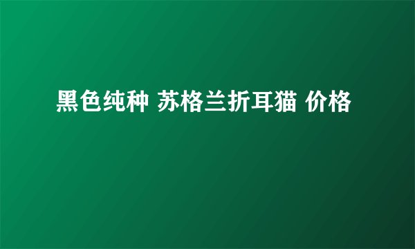 黑色纯种 苏格兰折耳猫 价格