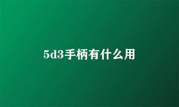 5d3手柄有什么用