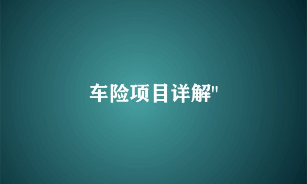 车险项目详解