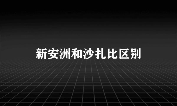 新安洲和沙扎比区别