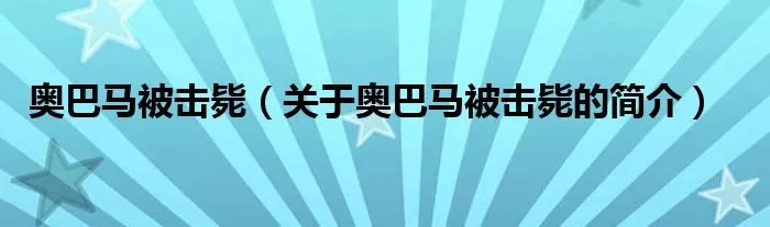 奥巴马被击毙（关于奥巴马被击毙的简介）