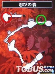 NDS《忍者龙剑传：龙剑》图文流程攻略