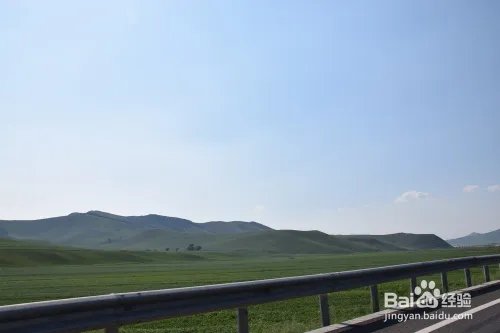 坝上草原拓展团建