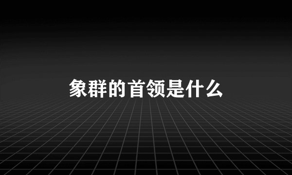 象群的首领是什么