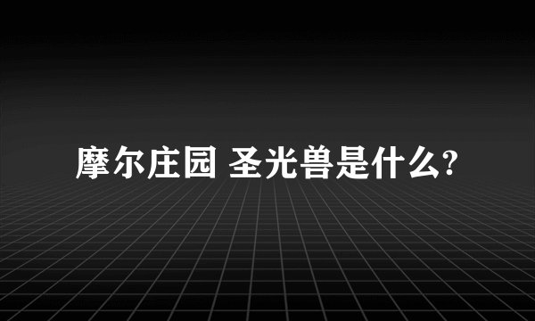 摩尔庄园 圣光兽是什么?