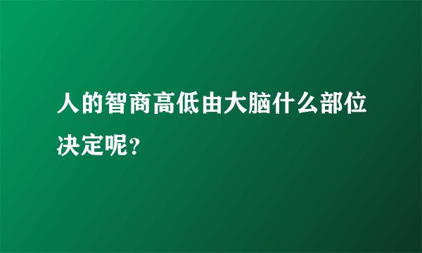 人的智商高低由大脑什么部位决定呢?
