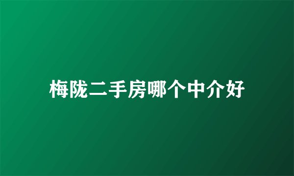 梅陇二手房哪个中介好