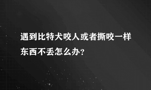 遇到比特犬咬人或者撕咬一样东西不丢怎么办?