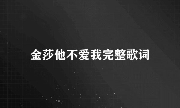金莎他不爱我完整歌词