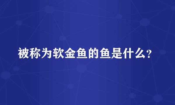被称为软金鱼的鱼是什么？